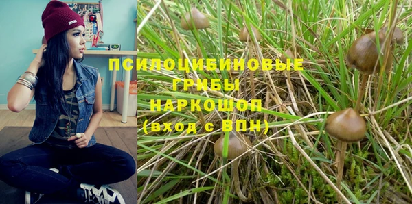 spice Абдулино