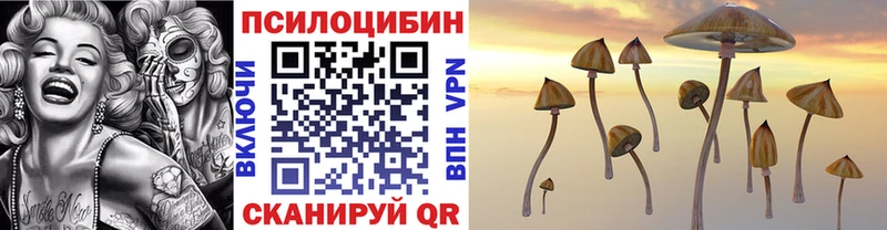 Псилоцибиновые грибы MAGIC MUSHROOMS Тихорецк